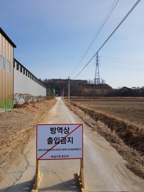 "나흘만에 계란 100만개 쌓였네요"… AI 공습에 산란계농가 시름