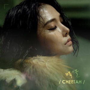 &#34;진짜가 온다&#34;… 치타, 새 싱글 '비틀비틀' 컴백 일정표 공개