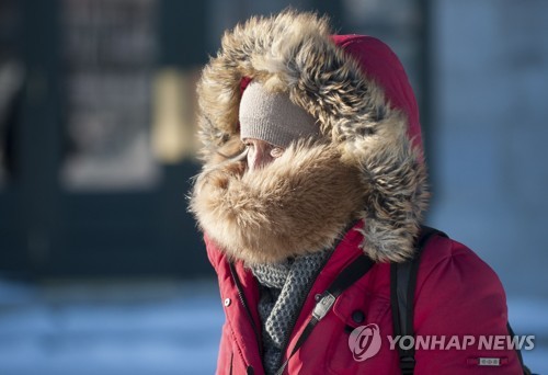 북미 덮친 역대급 한파에 펭귄들도 대피… 항공기 수백편 결항