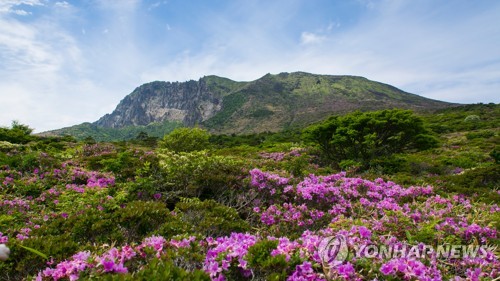 3월부터 카페에서 다회용컵 쓰면 '할인·리필' 혜택 확대