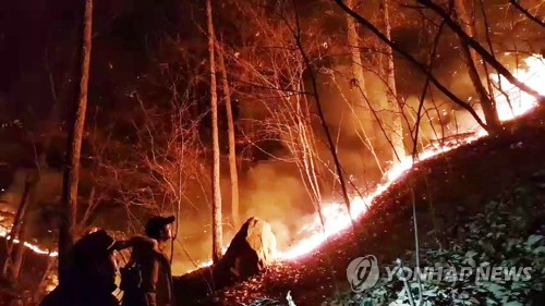 부산 삼각산 불 15시간 만에 불길 잡아… "100만㎡ 피해"