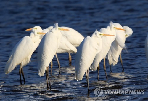 강원 철원 김화 영하 14.3도…당분간 강추위 지속