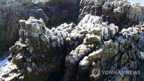  '북극 한파에 얼어붙은 한반도'… 40㎝ 폭설에 영하 24도