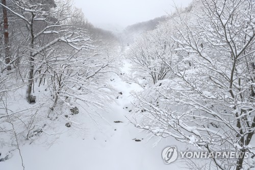  '북극 한파에 얼어붙은 한반도'… 40㎝ 폭설에 영하 24도