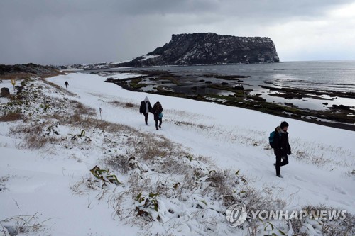 제주 동부 성산에 22.5㎝ 폭설…관측 이래 4위