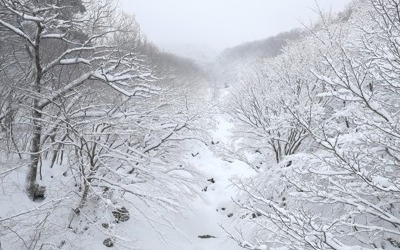 제주 동부 성산에 22.5㎝ 폭설…관측 이래 4위