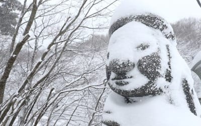 제주 남부·북부·서부와 추자도 대설주의보 10시 해제