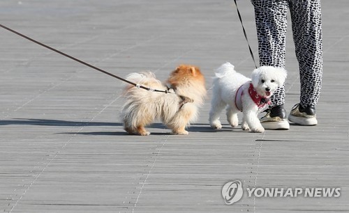 모든 반려견 목줄 2m로 제한… 사고 발생하면 주인 형사처벌 가능