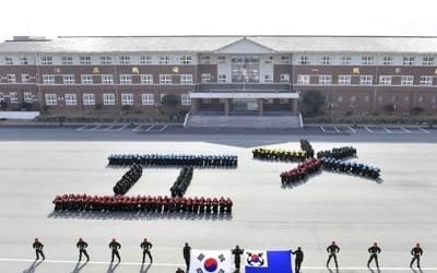 "한미 국방장관 27일 회동… '평창' 이후 연합훈련 실시 논의"