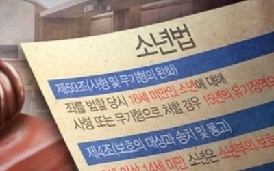 표창원 "소년범 처리, 법원이 결정해야"… 소년법 개정토론회