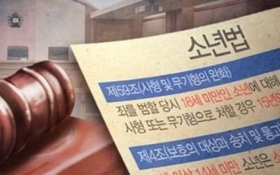 헌재 "소년범 집유 때 실형보다 자격제한 길면 안돼…법 고쳐야"