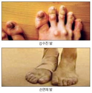 [피플 & 뉴스] 대한민국을 빛낸 '아름다운 발'… 위대함은 노~오력의 열매죠