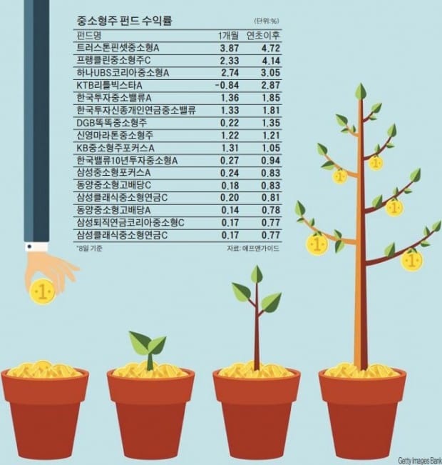 [펀드 재테크] 중소형주 펀드 석달째 '뭉칫돈'… 살벌한 조정장에도 수익률 '꿋꿋'