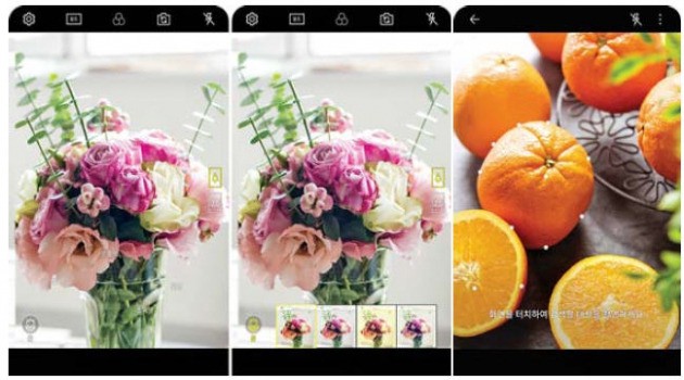 2018년형 LG V30 휴대폰 카메라로 꽃을 비추면(왼쪽) 인공지능 알고리즘이 꽃을 인식하고 이에 맞는 최적의 카메라 설정(가운데)을 추천해 준다. 사물 인식 기능을 활용해 쇼핑 정보(오른쪽)도 검색할 수 있다.  /LG전자 제공