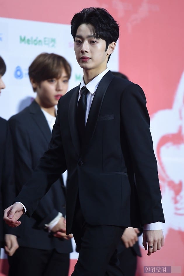 [포토] 워너원 라이관린, '멋진 모습에 눈길~' (가온차트뮤직어워드)