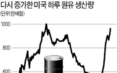 미국 원유생산 하루 1000만배럴 돌파… 1970년 '오일 붐' 이후 최대치 육박