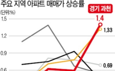 강남 재건축 '주춤'… 강북엔 '풍선효과'