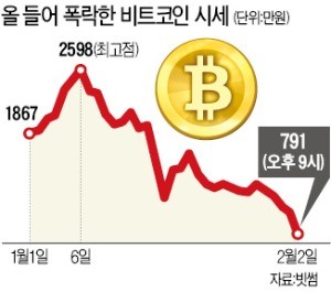 비트코인 폭락… 한때 800만원 붕괴