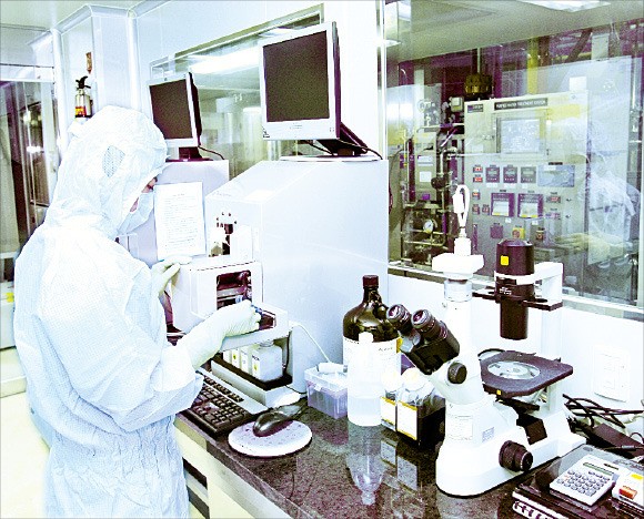 메디포스트 줄기세포연구소에서 연구원들이 줄기세포 연구를 하고 있다.  /메디포스트 제공 