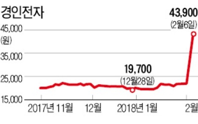 적자 기업인데… 경인전자, 사흘 만에 주가 두 배 급등