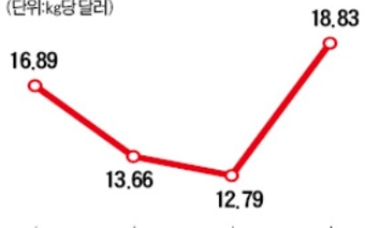 "폴리실리콘 값 더 오른다"… OCI·한화케미칼 '화색'