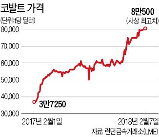 콩고의 '코발트 배짱'… 전기차 배터리업계 '비상'