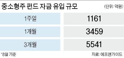 [펀드 재테크] 중소형주 펀드 석달째 '뭉칫돈'… 살벌한 조정장에도 수익률 '꿋꿋'