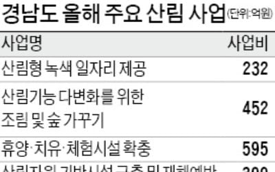 경남도, 숲 가꾸기에 올해 2200억 투자