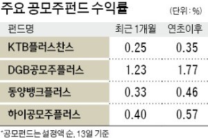 새내기주 잇단 상한가 '훈풍'에도 공모주펀드 수익률은 '찬바람'