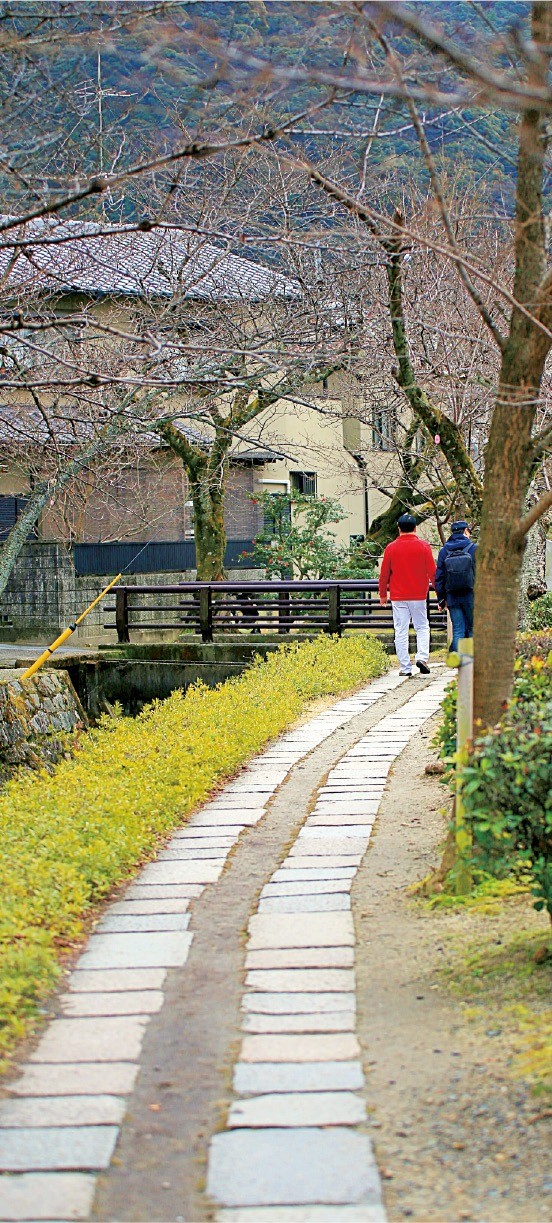 긴카쿠지에서 구마노냐쿠오지 신사까지 이어진 철학의 길. 