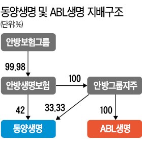 "지배구조 불투명한 안방보험… 예고된 리스크 결국 터졌다"