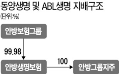 "지배구조 불투명한 안방보험… 예고된 리스크 결국 터졌다"