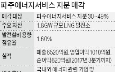  알짜 자회사 지분 매각 나선 SK E&S