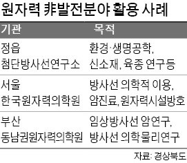 원자력 활용법 찾아… 경북도, 방사선융합기술원 설립한다