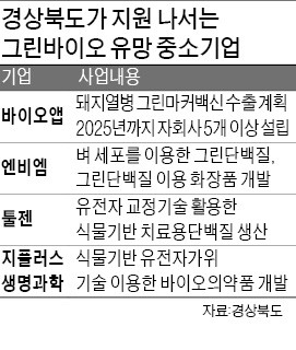 경북도 '식물성 백신'산업에 뛰어든다