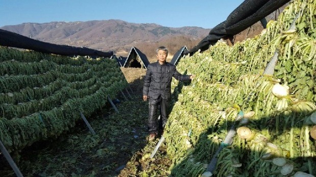 시래기로 연 매출 15억 영농법인 일군 귀농인