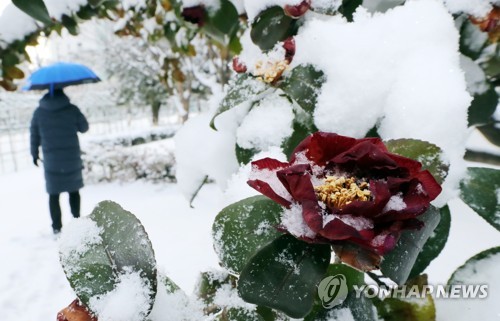 신안 11.9cm 눈… 광주·전남 한파특보 속 출근길 '꽁꽁'