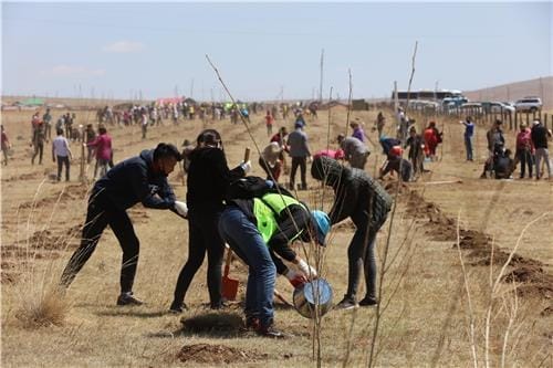 몽골에 나무 2만그루 심는 서울시… "미세먼지 막겠다"