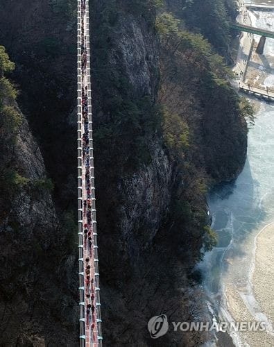 38억짜리 원주 소금산 출렁다리 설치 효과는…'대박'