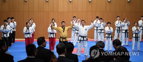 "우리는 하나다"…서울서 다시 뭉친 남북 태권도 (종합)