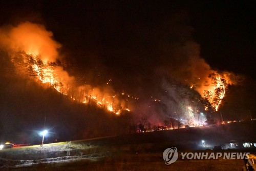 삼척 산불 닷새 만에 사실상 완진… 산림 117㏊ 잿더미