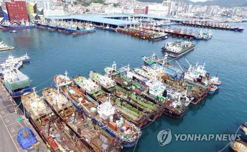 수협, 수산자원 방류 등에 22억원 투입… "어획량 회복 목표"