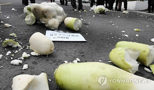 한파로 농작물 피해 잇따라…월동무 399㏊ 냉해 신고