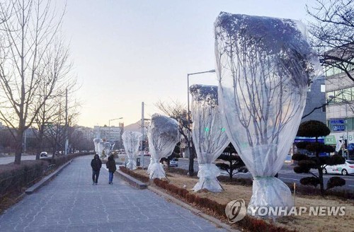 낮 기온도 대부분 영하권, 서울 -5.2도… "내일은 더 춥다"