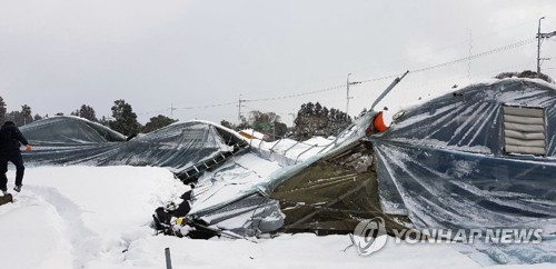 제주도, 올들어 3차례 폭설 피해 2억2000여만원 집계