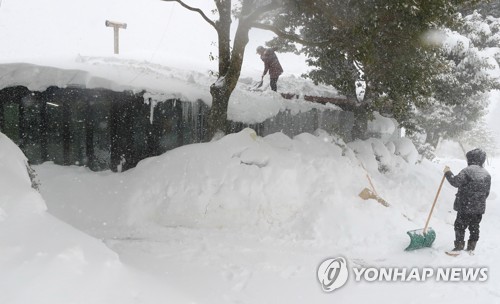 폭설에 갇힌 제주 중산간 마을 "이렇게 눈이 내린 건 처음"