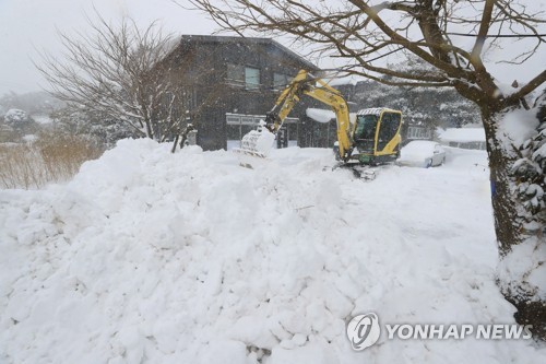 폭설에 갇힌 제주 중산간 마을 "이렇게 눈이 내린 건 처음"