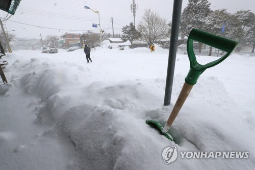 폭설에 갇힌 제주 중산간 마을 "이렇게 눈이 내린 건 처음"