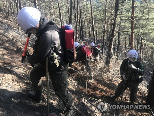 삼척산불 이틀째도 진화 실패… 헬기 철수·야간 진화체제 전환