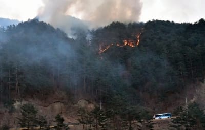 삼척 산불 사흘째…진화 인력 1500명 투입